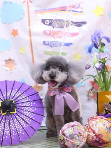 20240530タルトくん